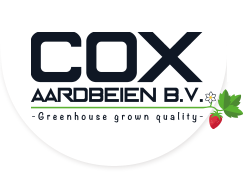 Cox Aardbeien